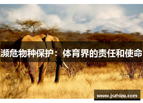 濒危物种保护：体育界的责任和使命